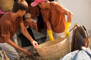 thực chất không có chuyện nước mắm gây ung thư