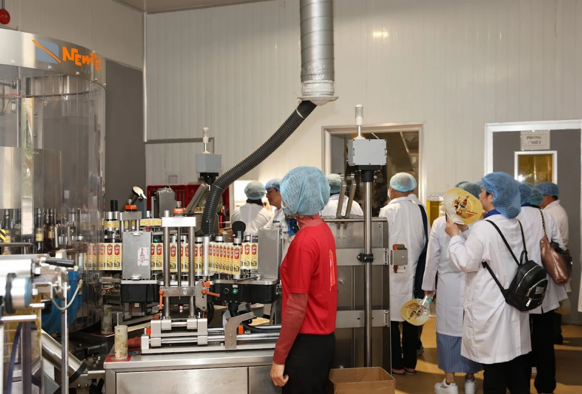 Nhà máy đóng chai hiện đại của Nam Ngư Phú Quốc